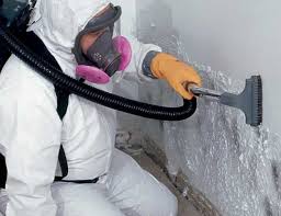 Best Mold Documentation for Insurance Claims  in Palatine, IL